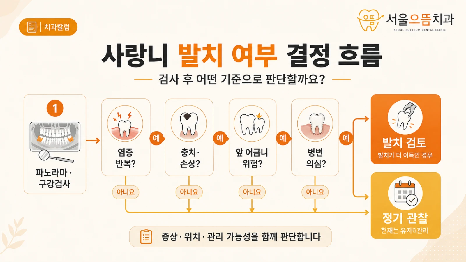 사랑니 발치 여부 결정 흐름 파노라마와 구강검사 후 염증·충치·앞 어금니 손상·병변 유무에 따라 발치와 관찰을 결정하는 흐름도