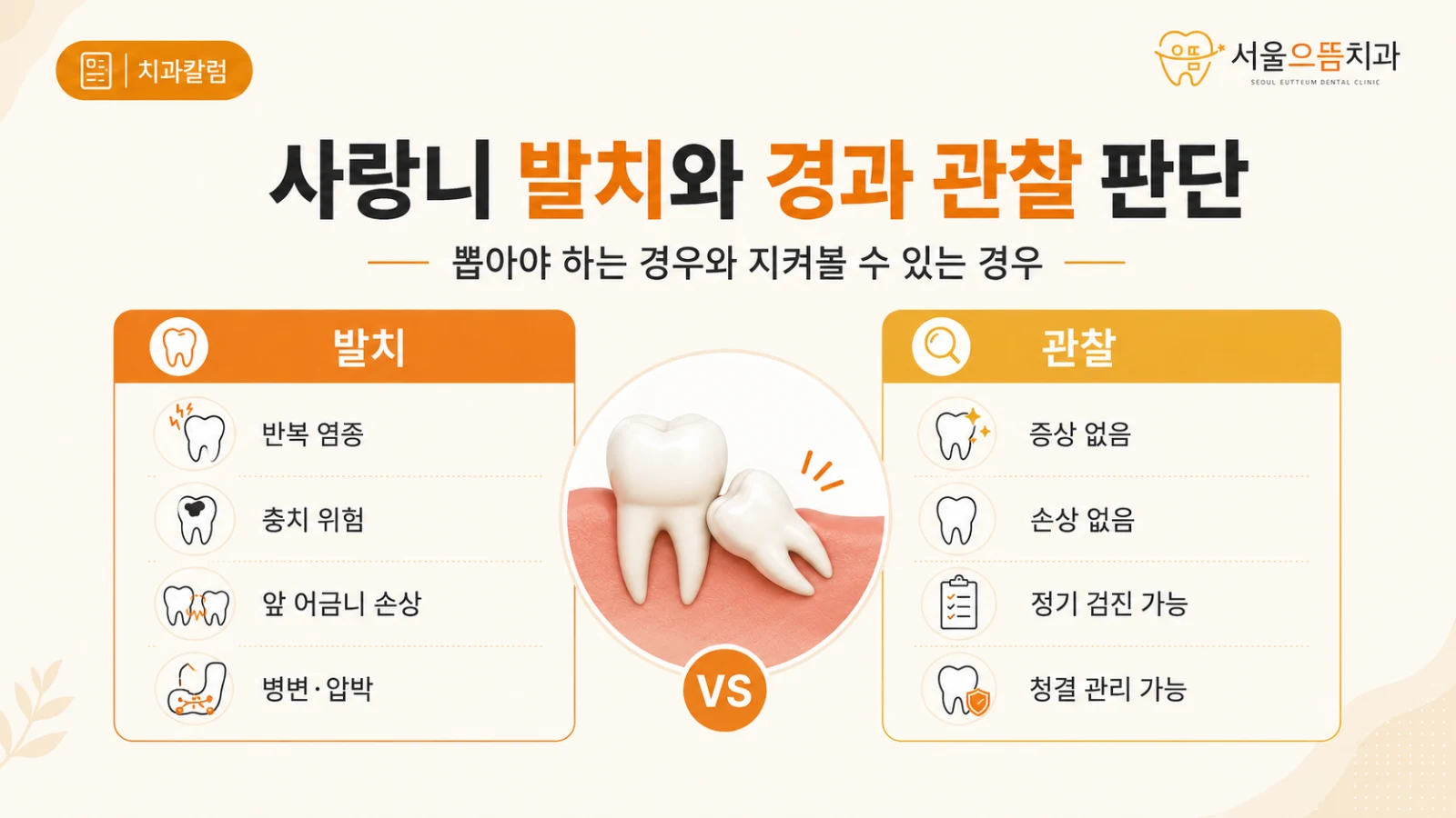 사랑니 발치와 경과 관찰 판단 사랑니를 뽑아야 하는 경우와 정기적으로 지켜볼 수 있는 경우를 비교한 도해