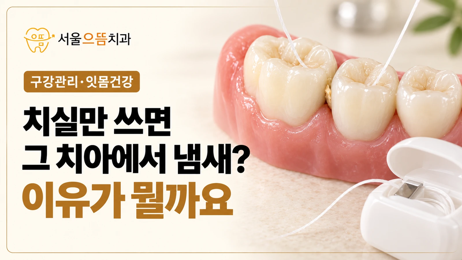 서울으뜸치과 로고와 치실 냄새에 관한 제목 옆에 어금니 모형, 치아 사이의 치실과 치실 용기를 배치한 썸네일