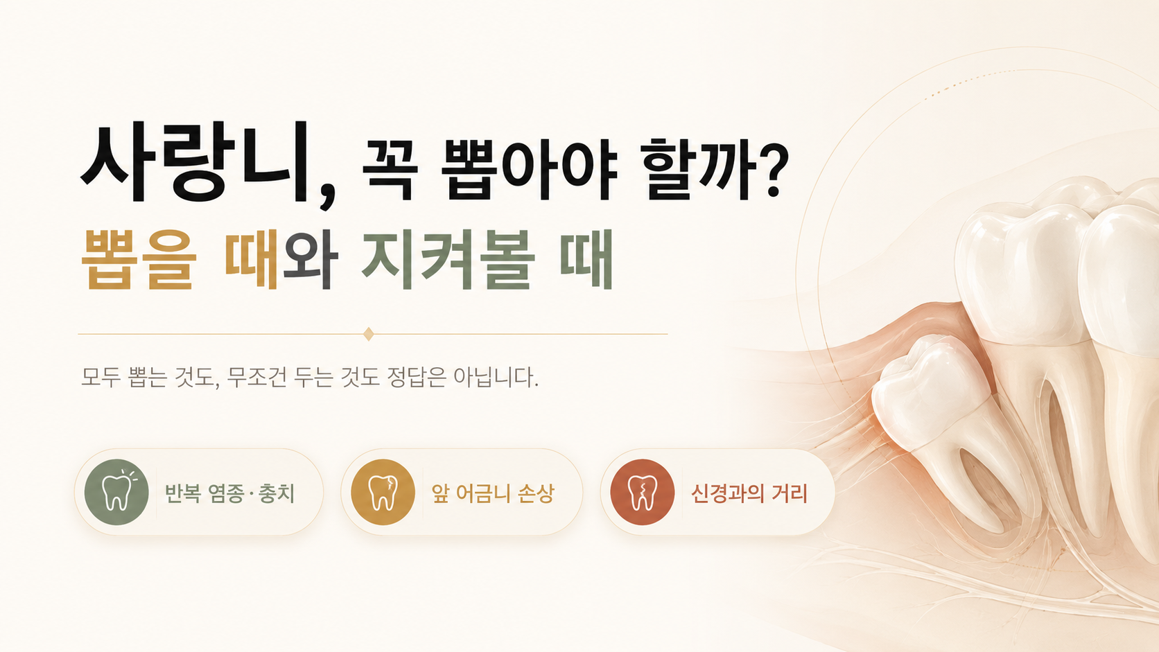 사랑니, 꼭 뽑아야 할까? 뽑을 때와 지켜볼 때 썸네일