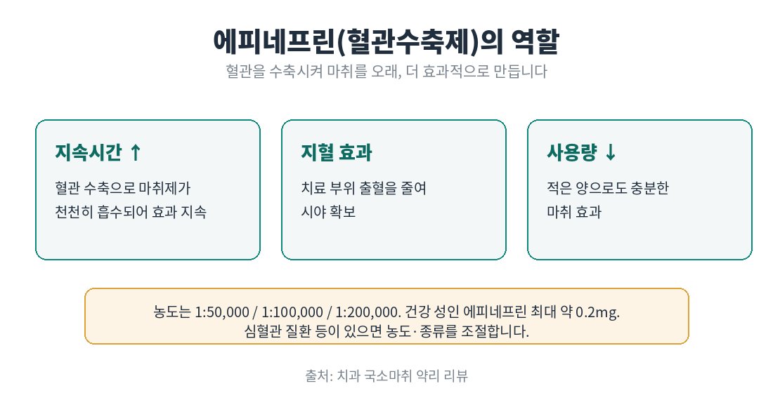 에피네프린(혈관수축제)의 역할 안내