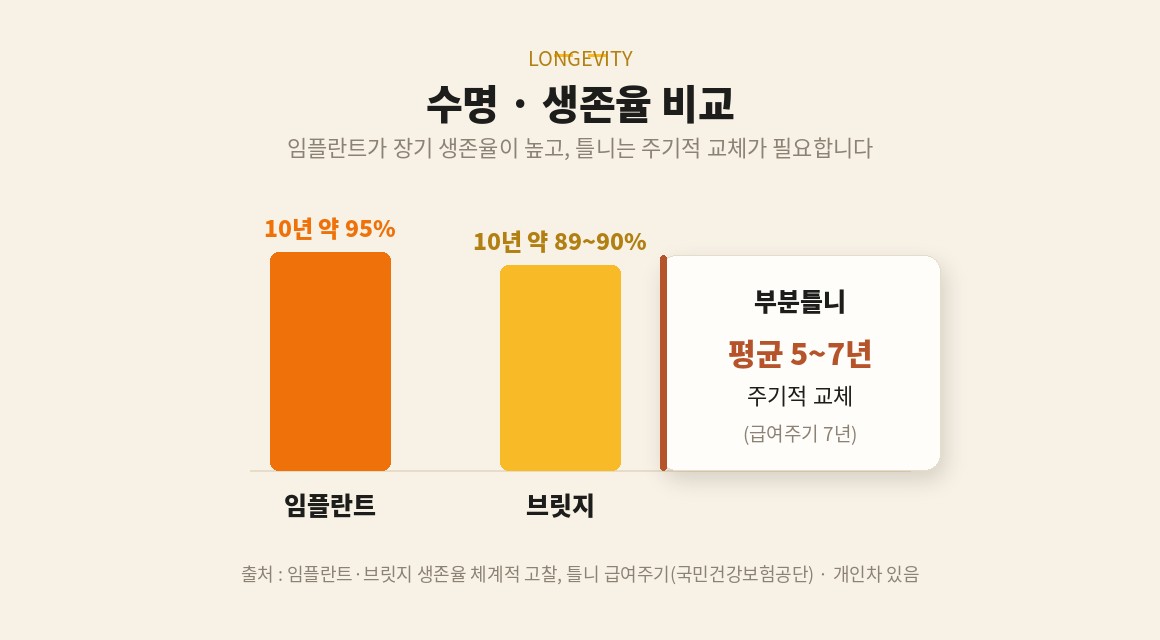임플란트 브릿지 틀니 수명과 생존율 비교 - 10년 생존율과 틀니 관리 주기