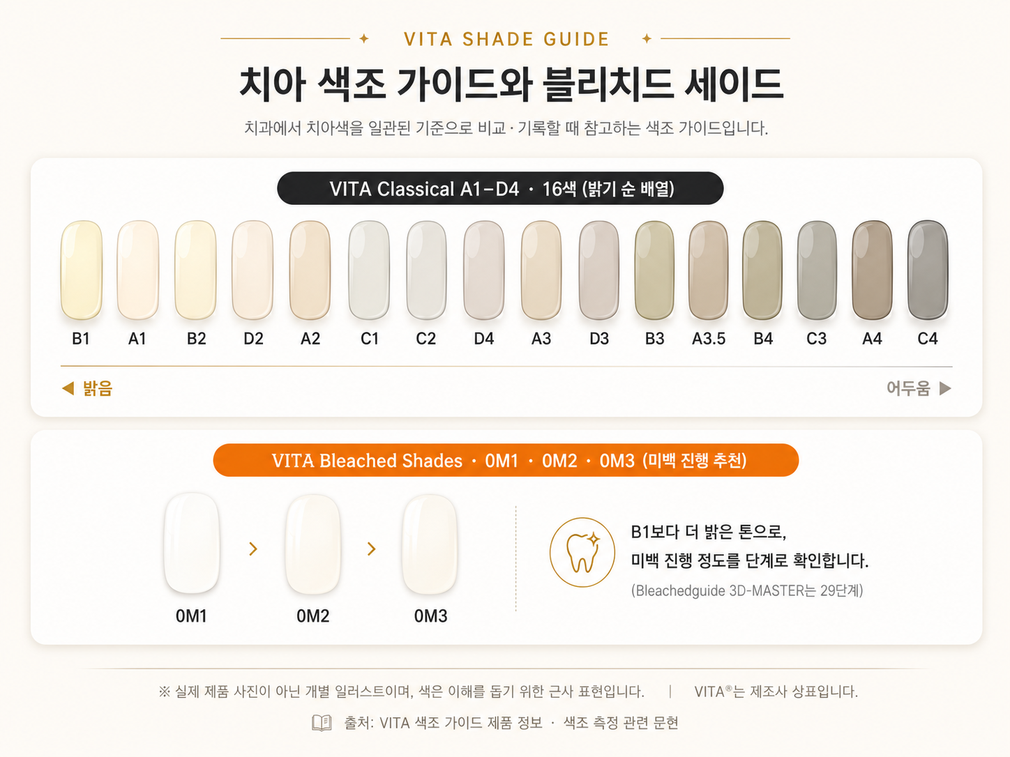 VITA 치아 색조 가이드와 블리치드 셰이드 비교 - 치아 밝기 순서와 미백 진행 정도를 확인하는 인포그래픽
