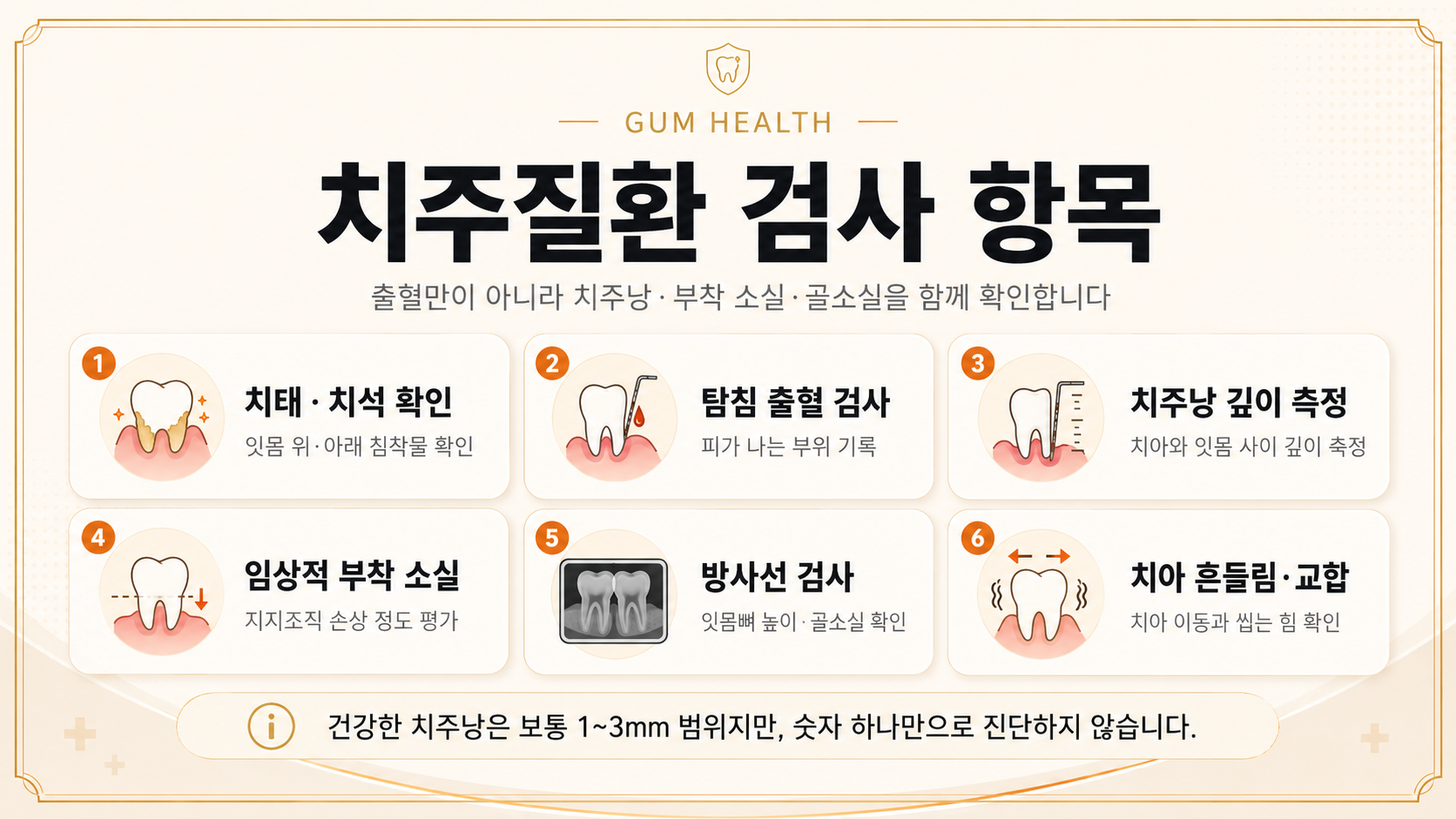치태·치석 확인, 탐침 출혈 검사, 치주낭 깊이, 임상적 부착 소실, 방사선 검사, 치아 흔들림과 교합 평가를 정리한 인포그래픽