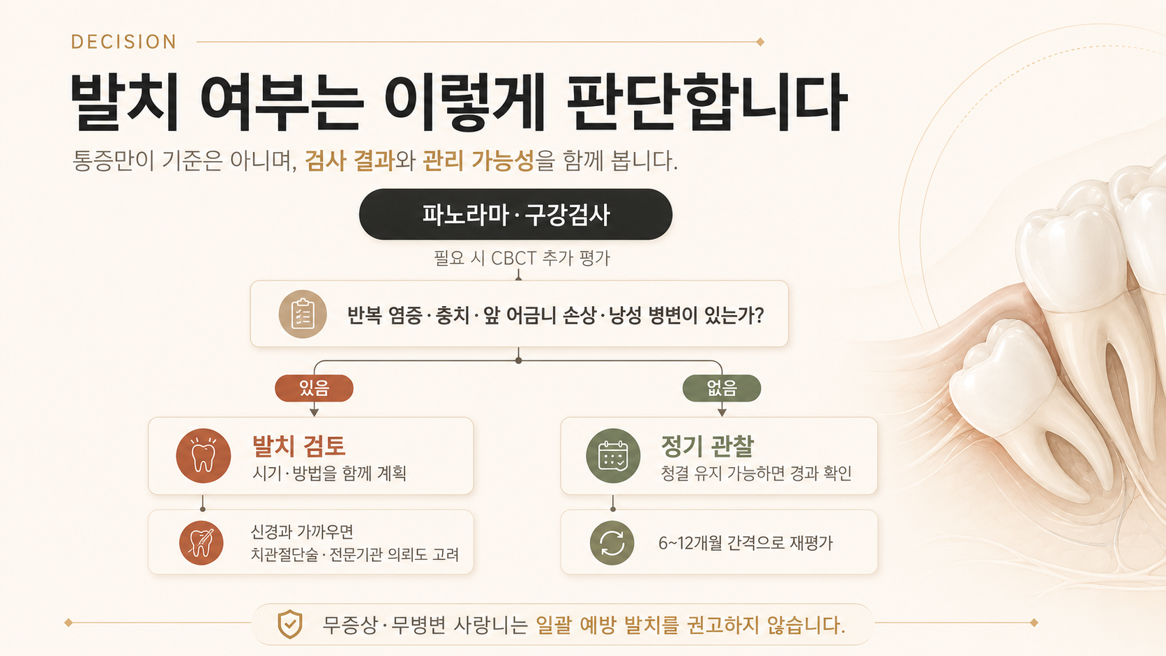 파노라마와 구강검사 후 염증·충치·앞 어금니 손상·낭성 병변 유무에 따라 사랑니 발치와 정기 관찰을 결정하는 흐름도